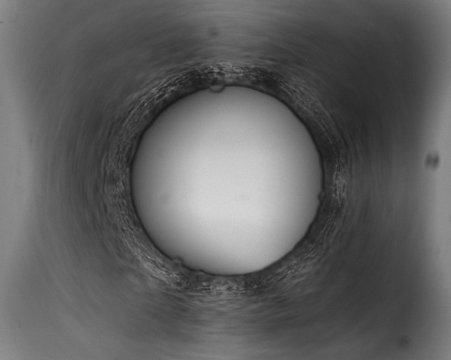 X0000116160865200911231402
