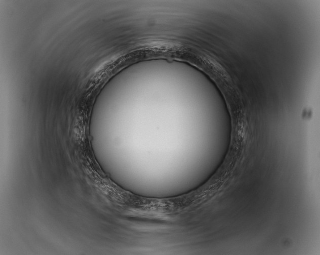 X0000116160869200911231402