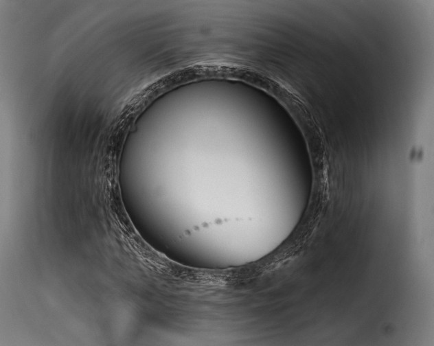X0000116160870200911231402