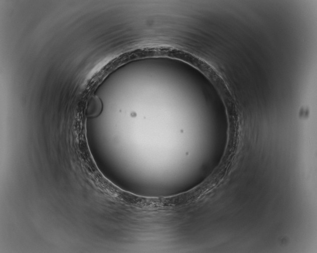 X0000116160871200911231402