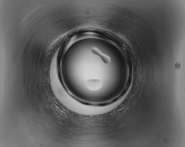 X0000116160872200911231402