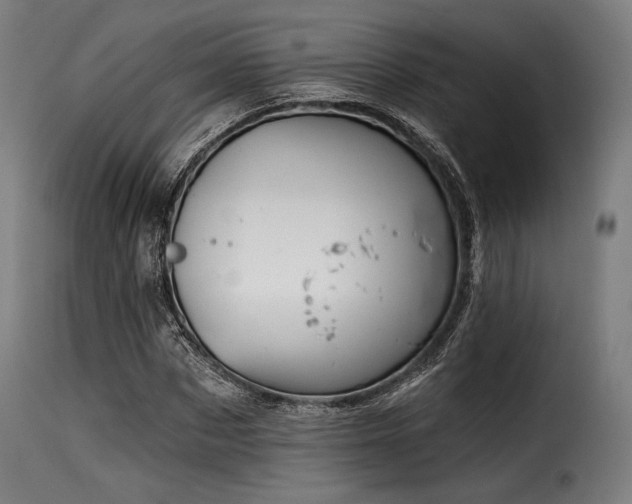 X0000116160873200911231402