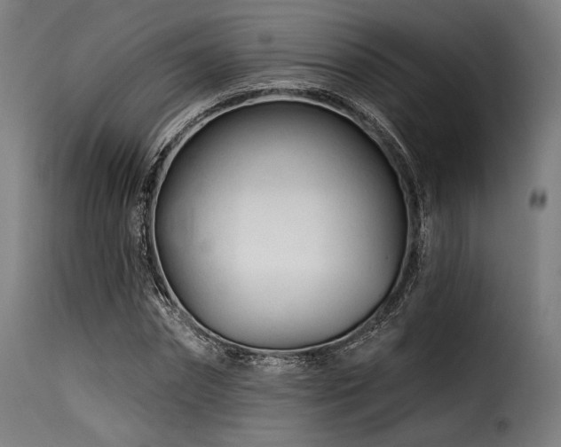 X0000116160874200911231402