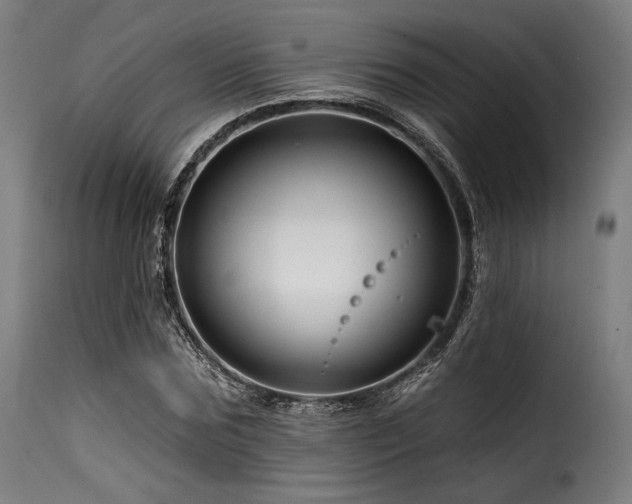 X0000116160875200911231402