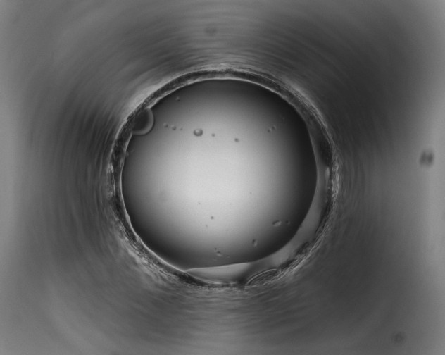 X0000116160876200911231402