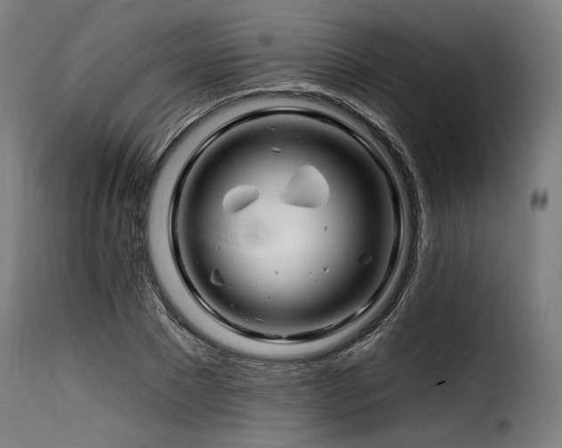 X0000116160881200911231402