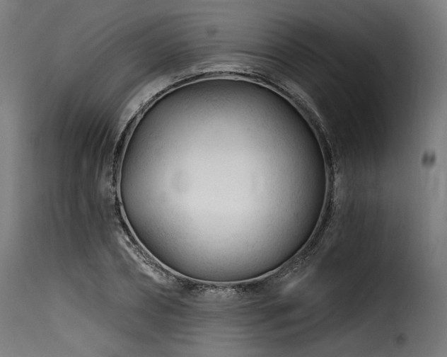 X0000116160882200911231402