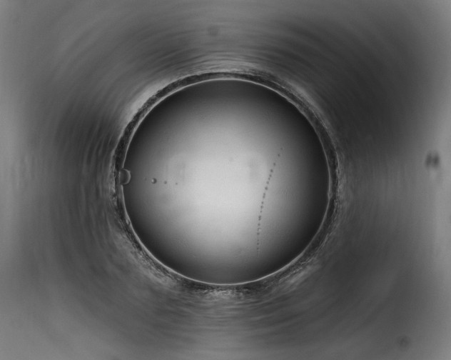 X0000116160883200911231402