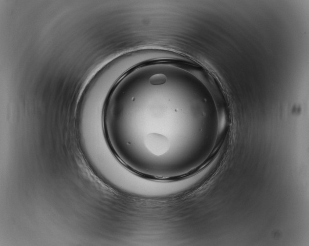 X0000116160884200911231402