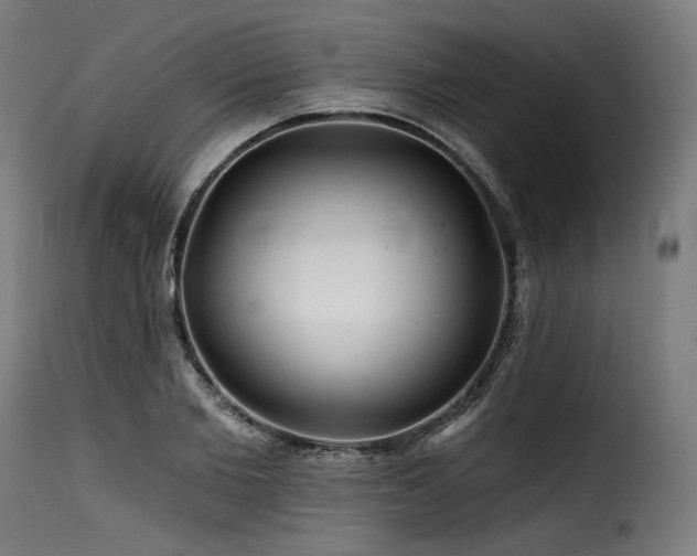 X0000116160885200911231402