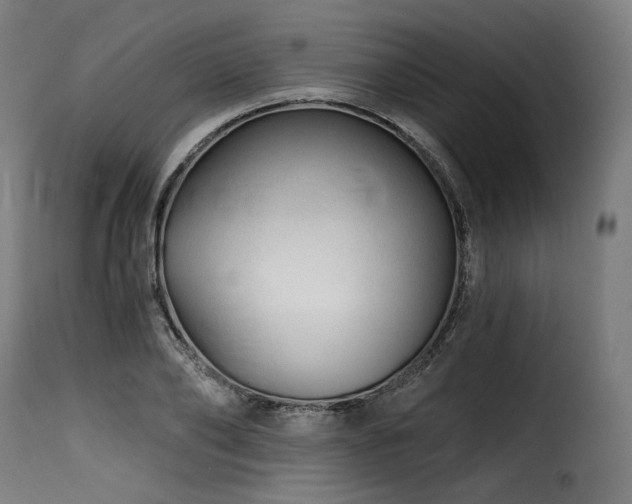 X0000116160886200911231402
