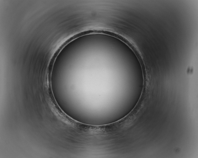X0000116160887200911231402
