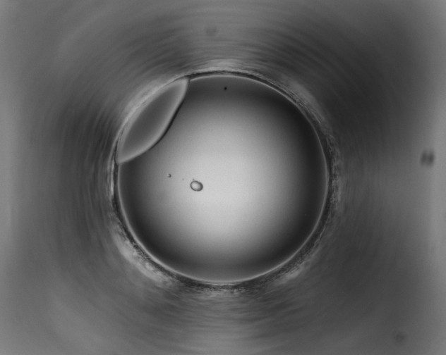 X0000116160892200911231402
