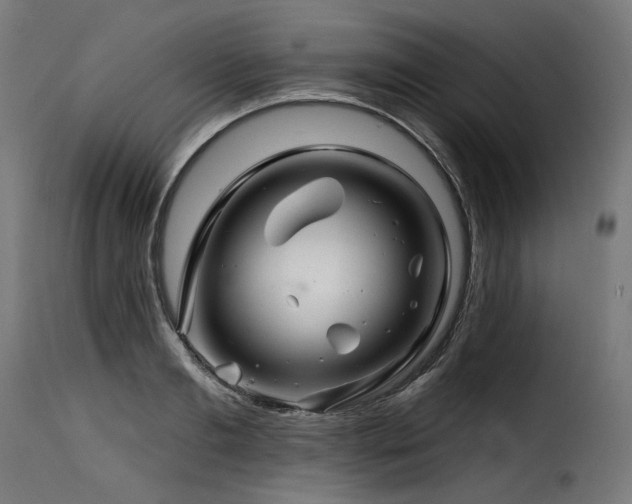 X0000116160893200911231402