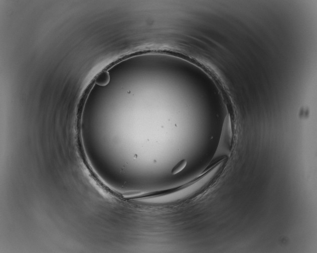 X0000116160894200911231402