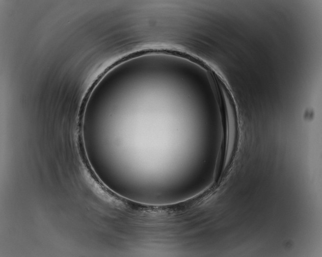 X0000116160895200911231402