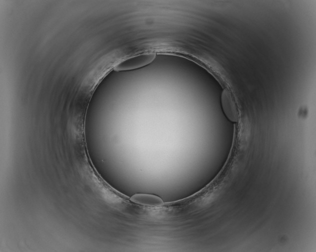 X0000116160897200911231402