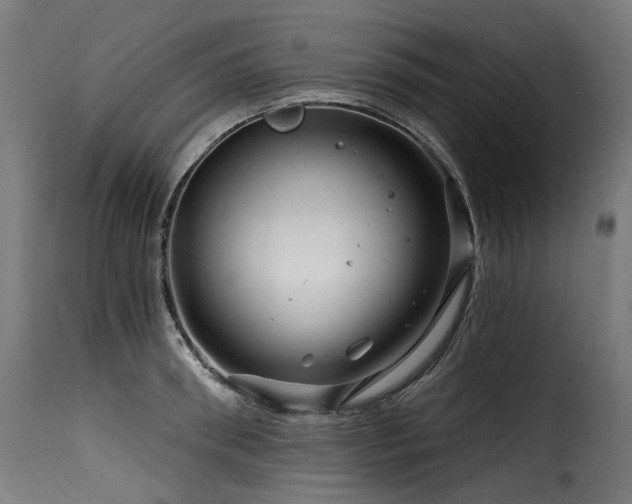 X0000116160898200911231402