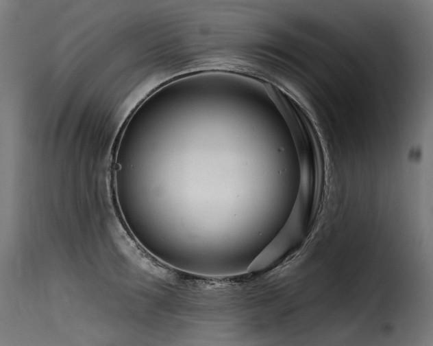 X0000116160899200911231402