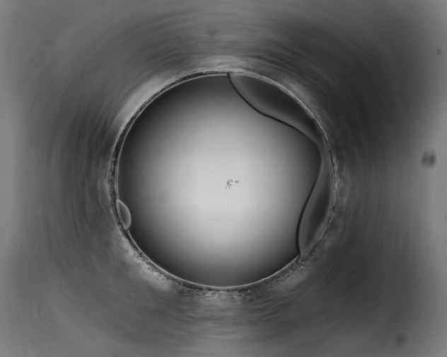 X0000116160901200911231402