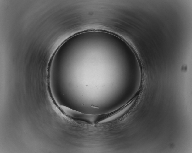 X0000116160903200911231402
