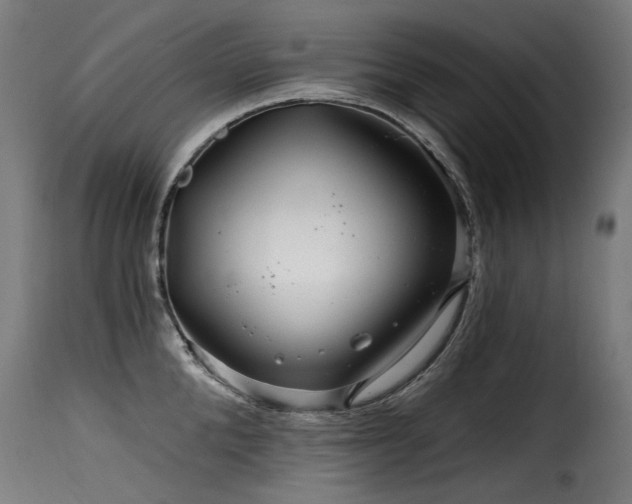 X0000116160904200911231402