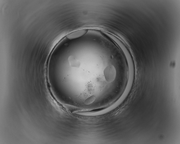 X0000116160907200911231402