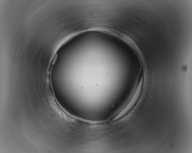 X0000116160908200911231402