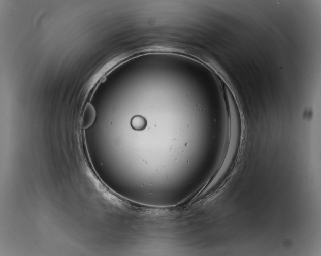 X0000116160909200911231402