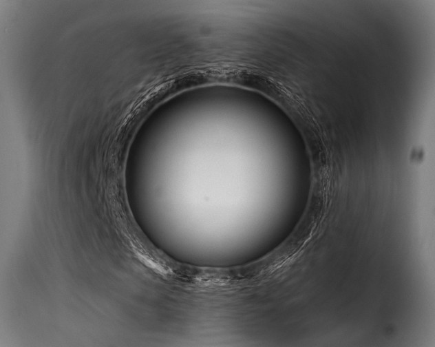 X0000116160913200911231401