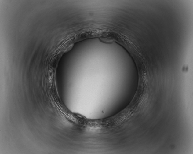 X0000116160914200911231401