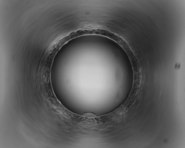 X0000116160919200911231401