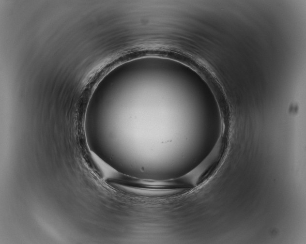 X0000116160922200911231401