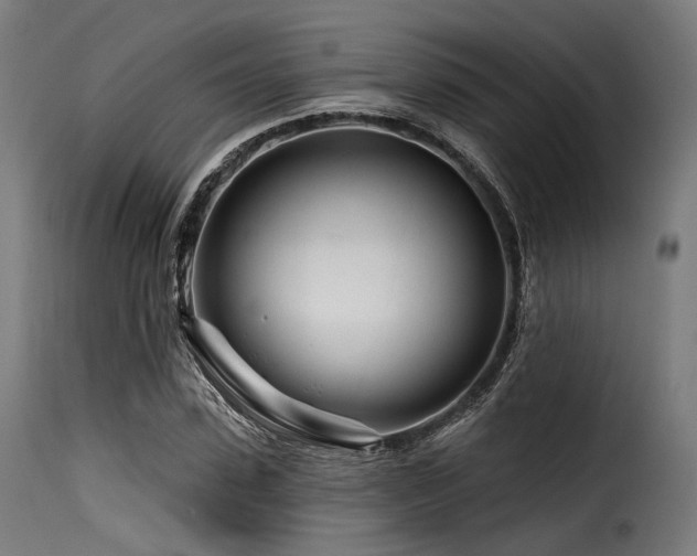 X0000116160923200911231401