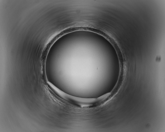 X0000116160925200911231401
