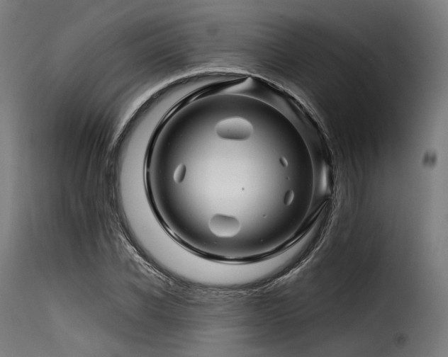 X0000116160926200911231401