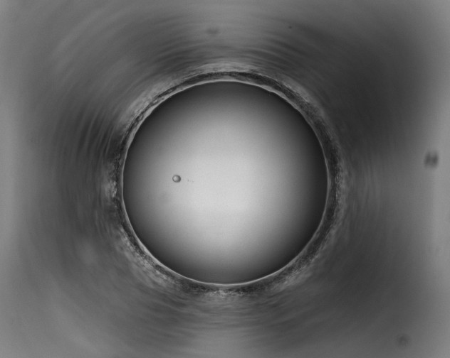 X0000116160929200911231401