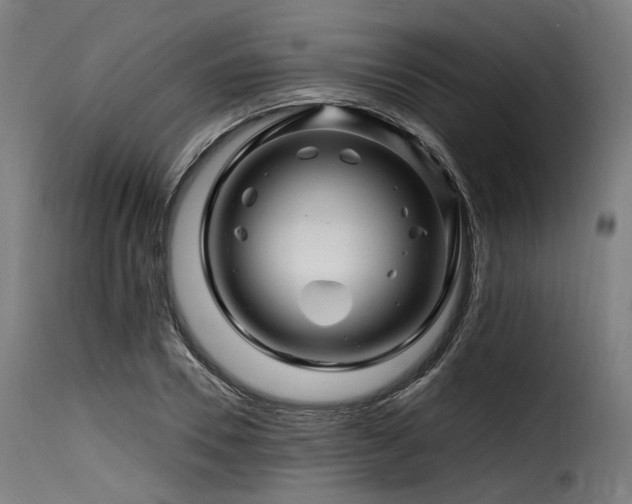 X0000116160930200911231401