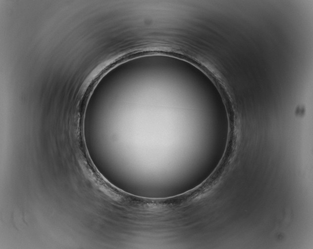 X0000116160933200911231401