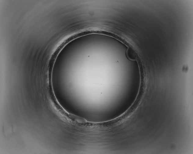 X0000116160934200911231401