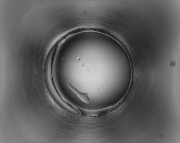 X0000116160935200911231401