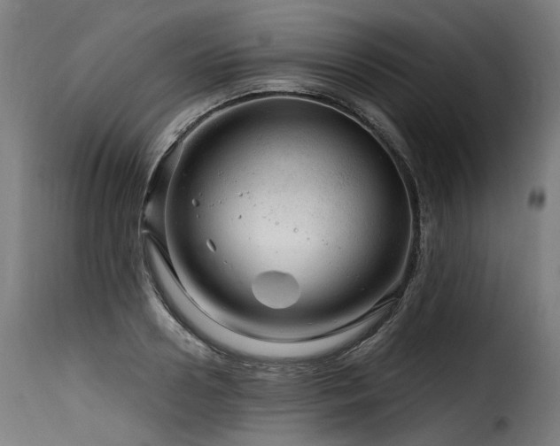 X0000116160938200911231401