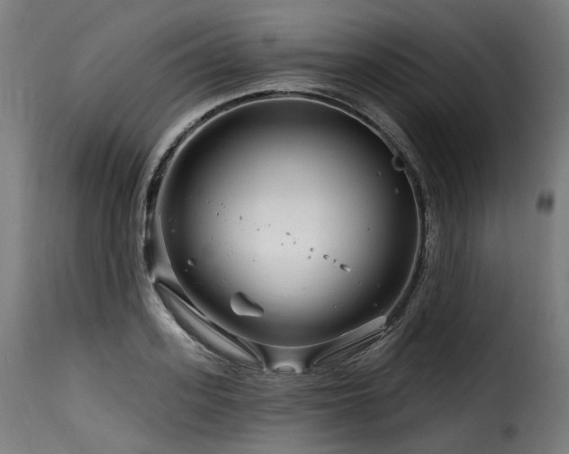X0000116160939200911231401