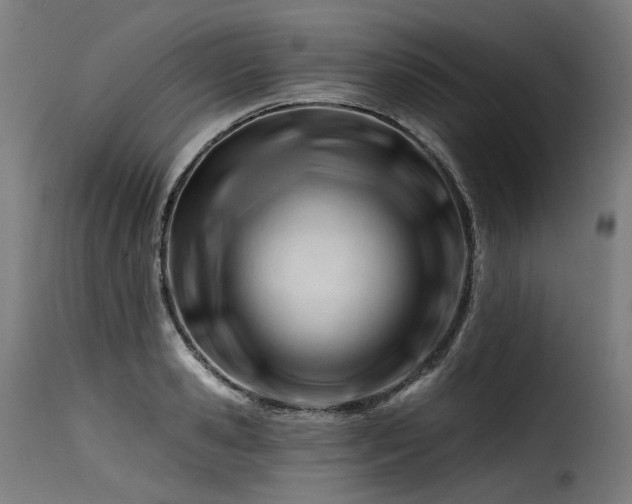 X0000116160941200911231401