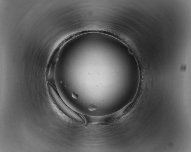 X0000116160942200911231401