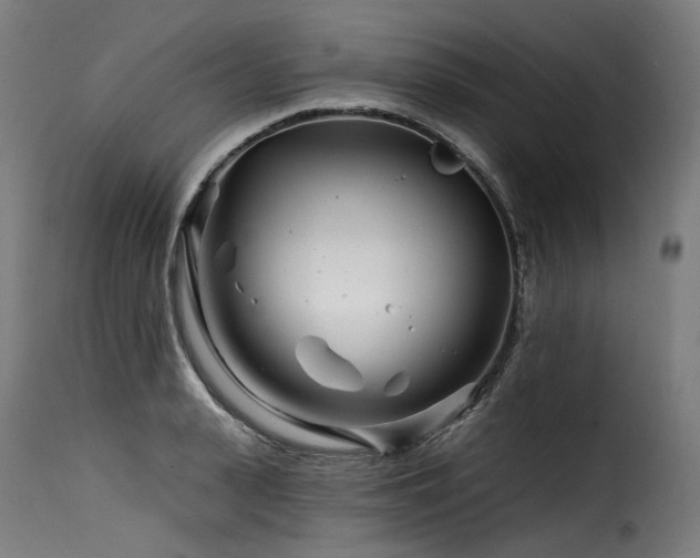 X0000116160943200911231401
