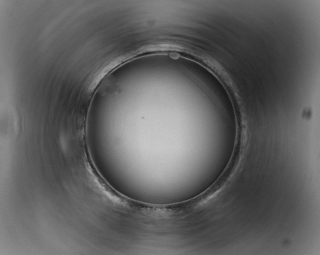 X0000116160945200911231401