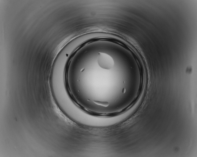 X0000116160946200911231401