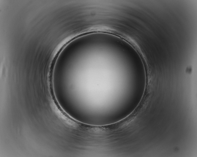 X0000116160947200911231401