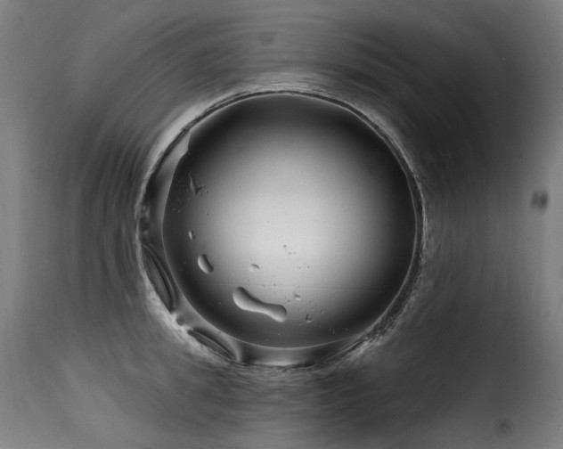 X0000116160949200911231402